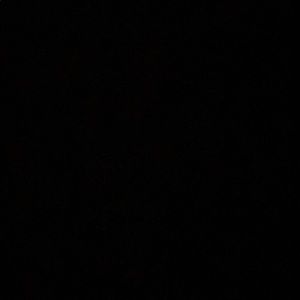 Meet your Posher, Levon